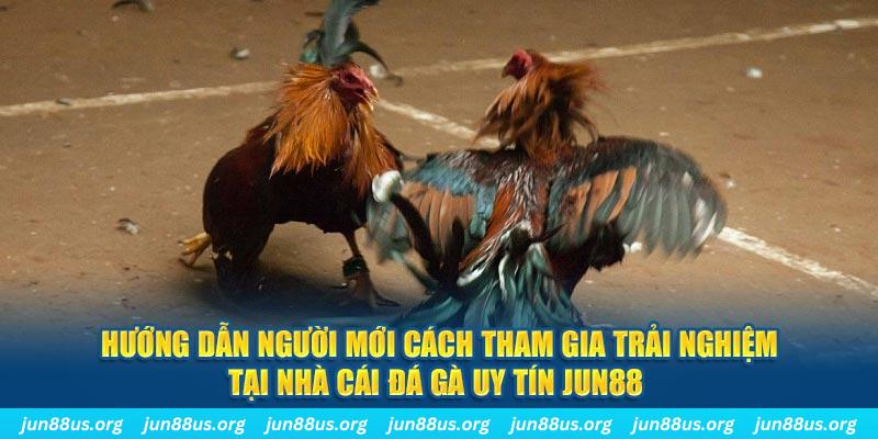 s66 CQ9 Điện Tử