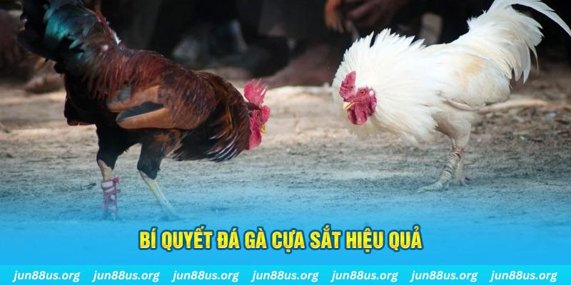 s66 xin 1 slot là gì