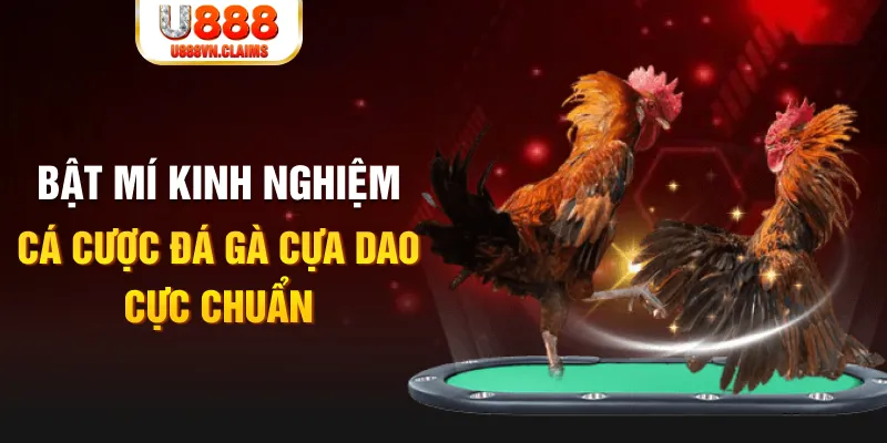 s66 tỷ lệ cá cược châu á là gì