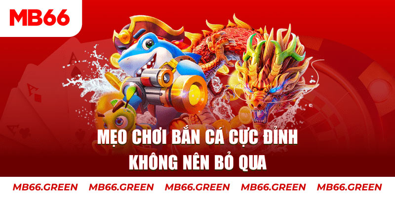 s66 xổ số miền bắc