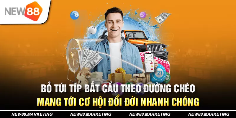 s66 789bet có bao nhiêu sảnh game bài 3d ？