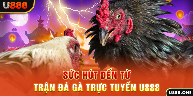 s66 nổ hũ b29 là gì
