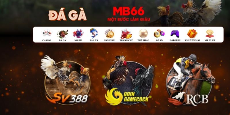s66 đăng nhập poker số 1