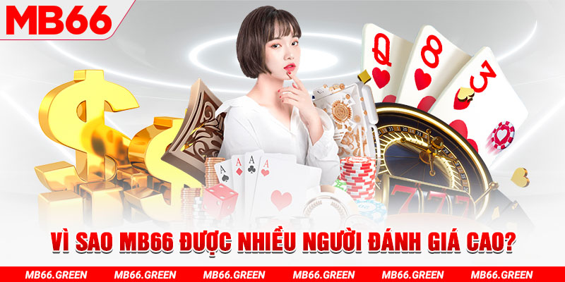 s66 đá gà