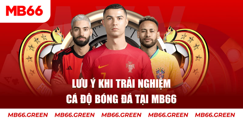 s66 cá cược là gì