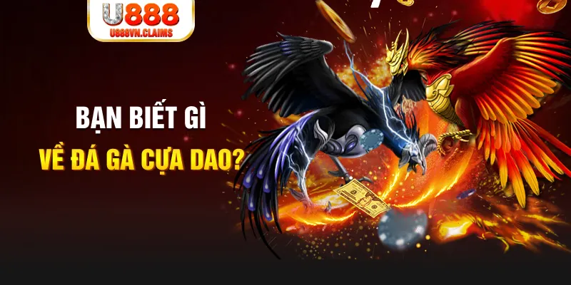 s66 nổ hủ là gì