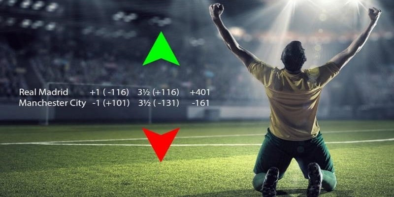 s66 slot tiếng việt là gì