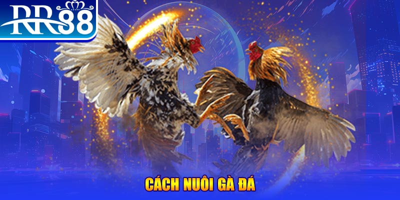 s66 xổ số an giang