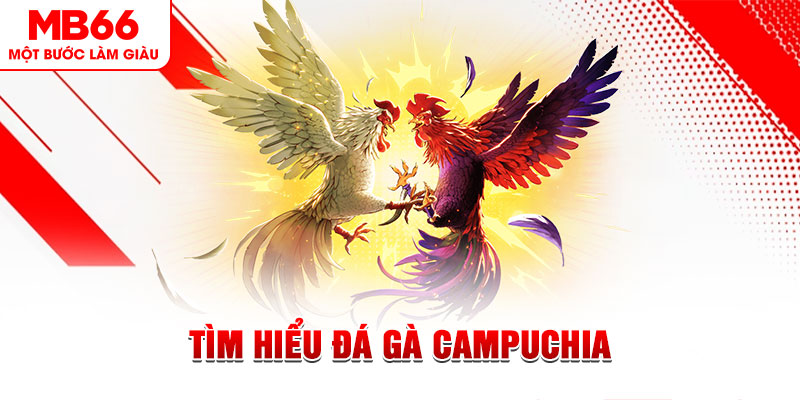 s66 đá gà trực tiếp