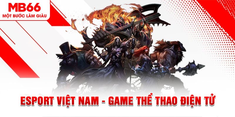 s66 what are the most popular casino games