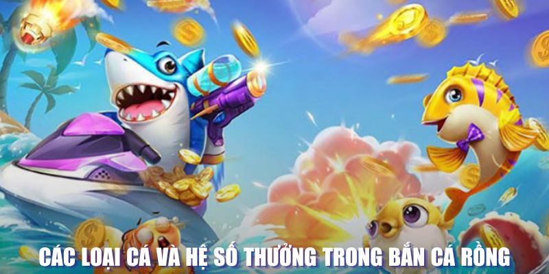 s66 đăng nhập sòng bạc mới nhất