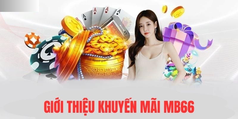 s66 Đĩa màu ace