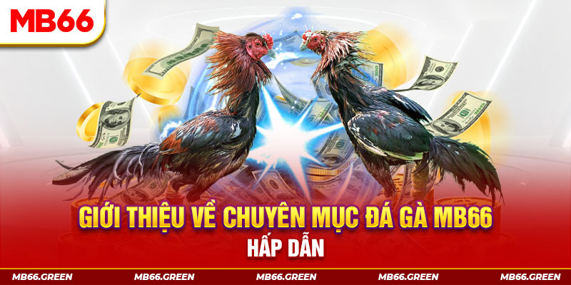 s66 đăng nhập sòng bạc đổi thưởng