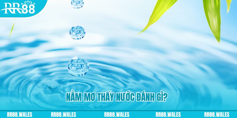 s66 TP Bắn cá