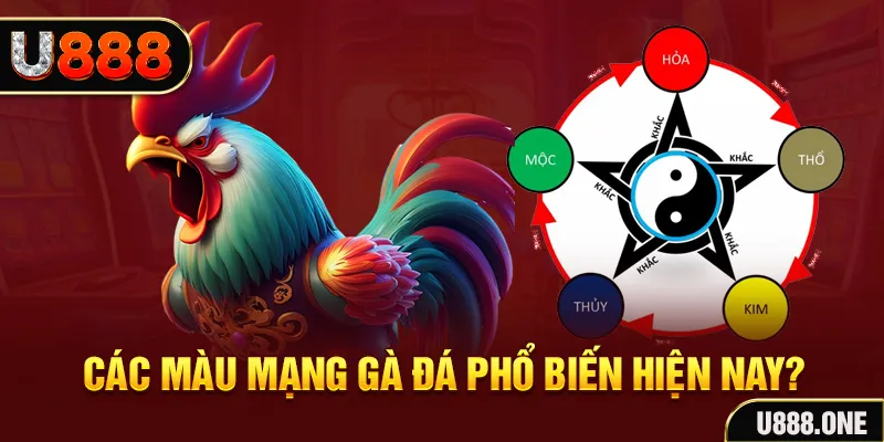 s66 trực tiếp đá gà 88