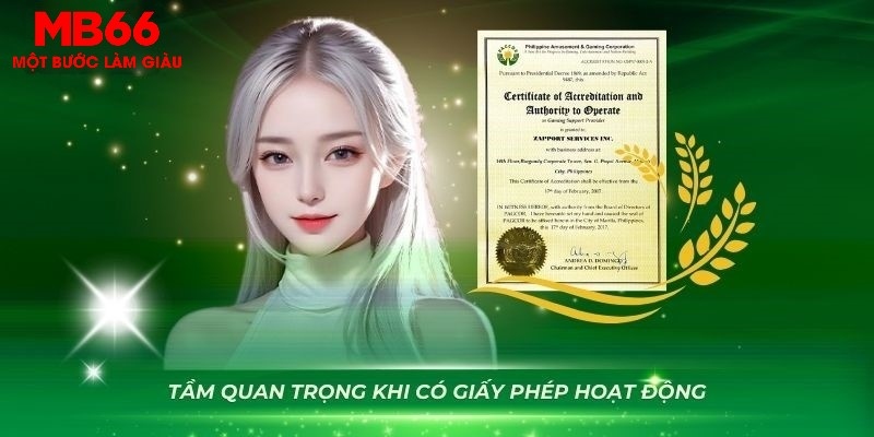 s66 slot là gì dịch