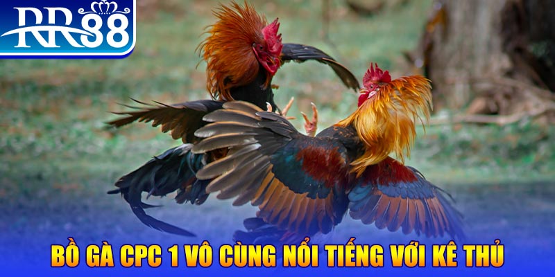 s66 game máy bay nổ hũ