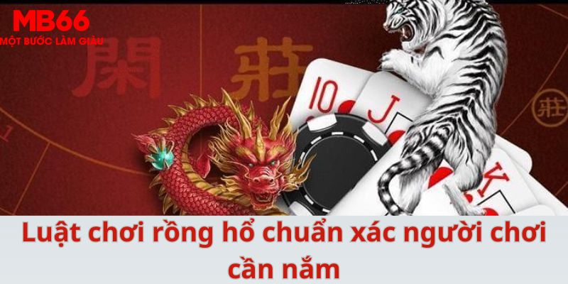 s66 xổ số cà mau