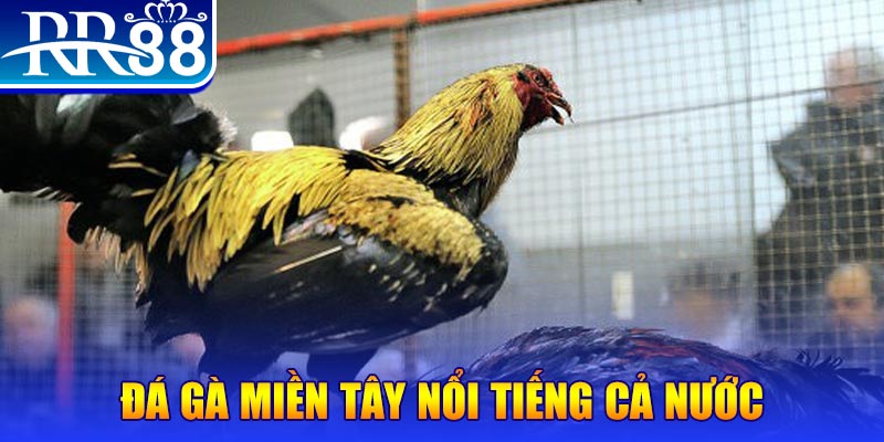 s66 JILI Game Bài 3d