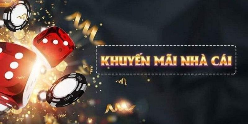 s66 what is live dealer casino