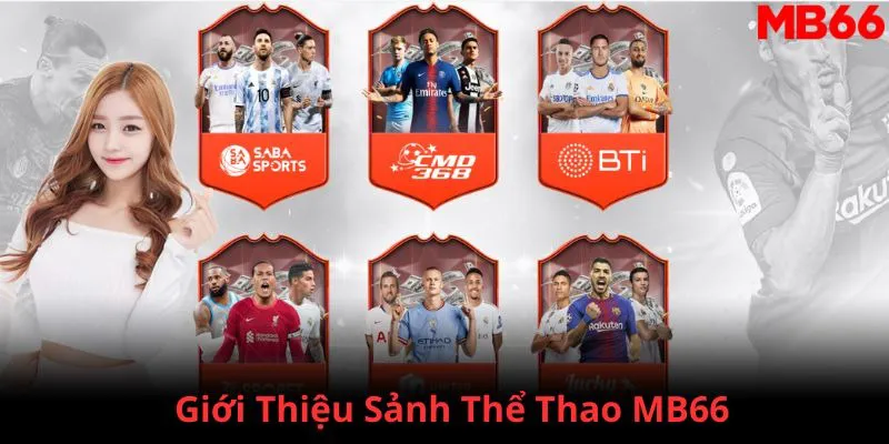 s66 đăng nhập phỏm 2024