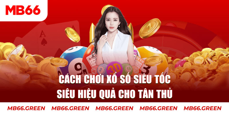 s66 Cỡ bảy