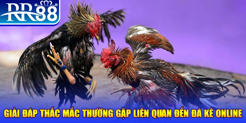s66 slot machine là gì