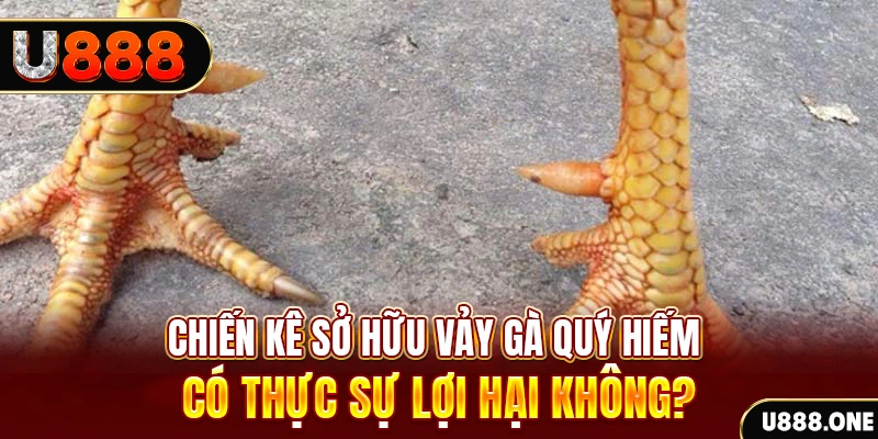 s66 nohu .mx nổ hủ là gì