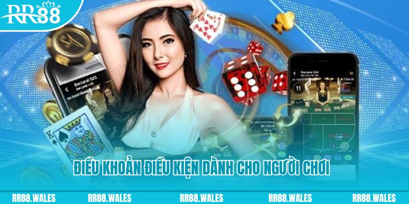 s66 casino gồm những gì