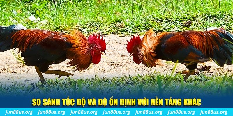 s66 đá gà hôm nay
