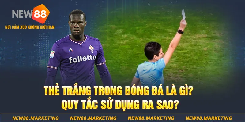 s66 gà chọi mộc hóa