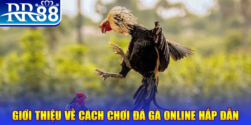 s66 game nổ hũ rút tiền mặt là gì