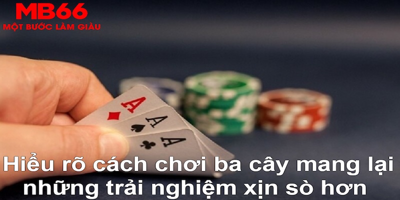 s66 xổ số đài bắc