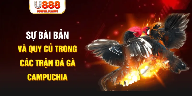 s66 YGR Điện Tử