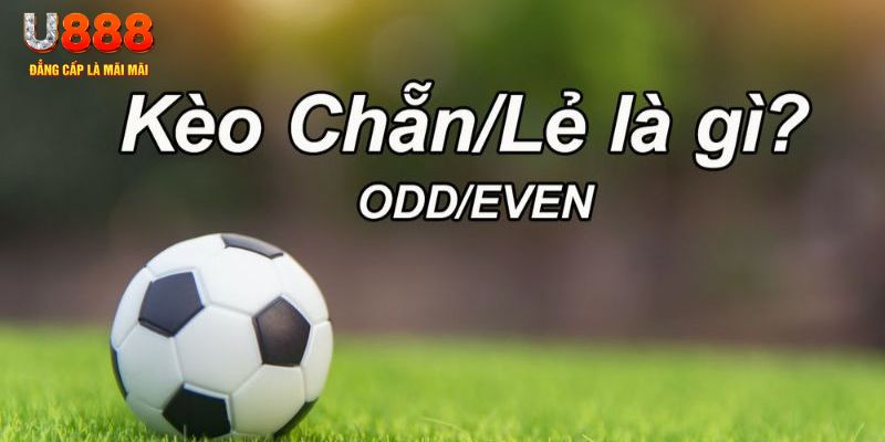 s66 đăng nhập poker hôm nay