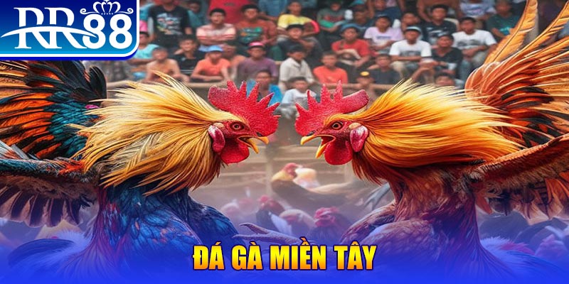 s66 đăng nhập nổ hũ