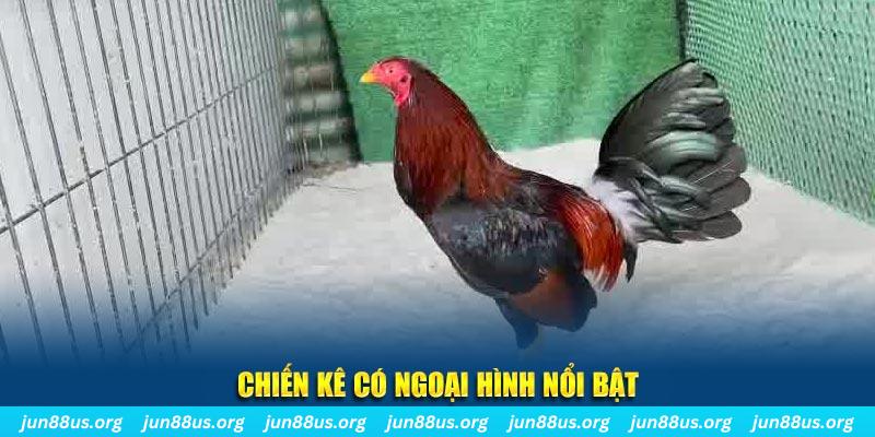 s66 chạy quảng cáo cho game bài bị phạt như thế nào