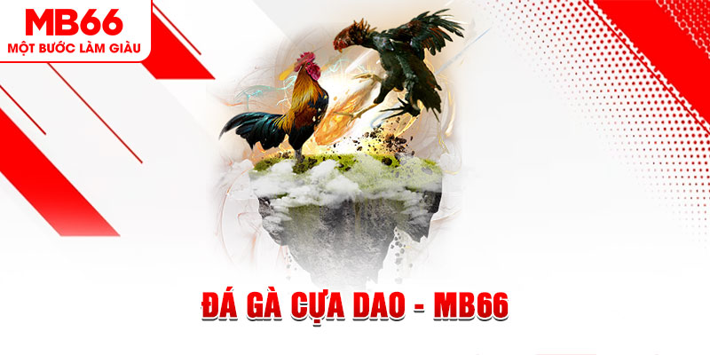 s66 đá gà sv388 gold