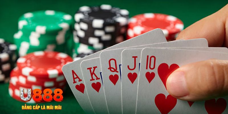s66 đá gà trực tiếp thomo 67